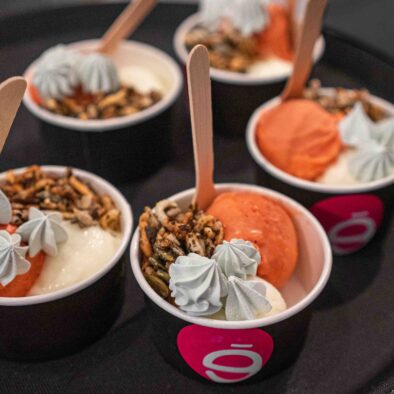 Combo Historical and Food tour of Old Quebec City, Kerrmess dessert, sorbet homemade